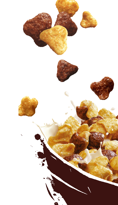 NESTLÉ LION Cereals, Schoko Cerealien mit Karamell 400g